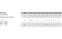 500 Stück, EN 1661 A 4 Sechskantmuttern mit Flansch - Abmessung: M 10