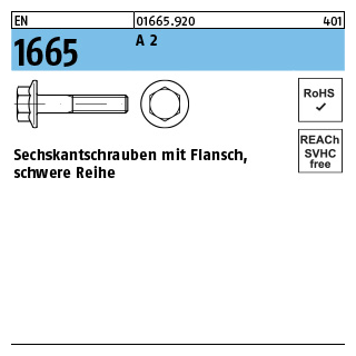 100 Stück, EN 1665 A 2 Sechskantschrauben mit Flansch, schwere Reihe - Abmessung: M 10 x 45