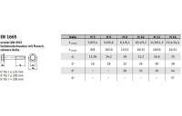 100 Stück, EN 1665 A 2 Sechskantschrauben mit Flansch, schwere Reihe - Abmessung: M 10 x 50