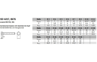 500 Stück, ISO 4017 8.8 flZn/TL 480h (zinklamellenbesch.) Sechskantschrauben mit Gewinde bis Kopf - Abmessung: M 6 x 30