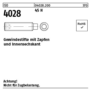 1000 Stück, ISO 4028 45 H Gewindestifte mit Zapfen und Innensechskant - Abmessung: M 3 x 6