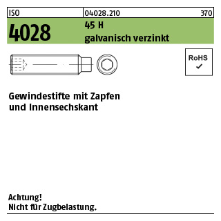 1000 Stück, ISO 4028 45 H galvanisch verzinkt Gewindestifte mit Zapfen und Innensechskant - Abmessung: M 3 x 6