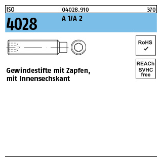 100 Stück, ISO 4028 A 1/A 2 Gewindestifte mit Zapfen und Innensechskant - Abmessung: M 8 x 45