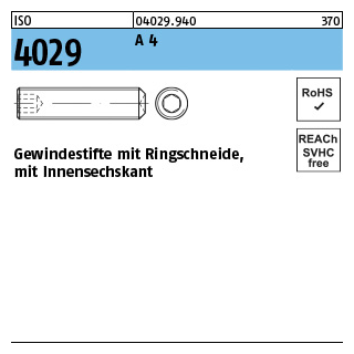 500 Stück, ISO 4029 A 4 Gewindestifte mit Ringschneide und Innensechskant - Abmessung: M 2 x 4