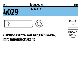 100 Stück, ISO 4029 A 1/A 2 Gewindestifte mit Ringschneide und Innensechskant - Abmessung: M 6 x 45