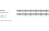 100 Stück, ISO 4033 12 Sechskantmuttern, ISO-Typ 2 - Abmessung: M 10