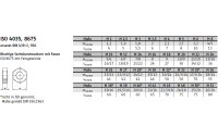 1000 Stück, ISO 4035 04 Niedrige Sechskantmuttern mit Fasen - Abmessung: M 8