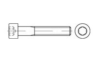100 Stück, ISO 4762 8.8 galvanisch verzinkt Zylinderschrauben mit Innensechskant - Abmessung: M 8 x 160
