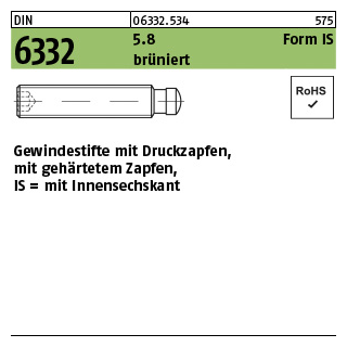 10 Stück, DIN 6332 5.8 Form IS brüniert Gewindestifte mit Druckzapfen, mit gehärtetem Zapfen, mit Innensechskant - Abmessung: IS M 6 x 50