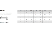 DIN 6332 5.8 Form IS brüniert Gewindestifte mit Druckzapfen, mit gehärtetem Zapfen, mit Innensechskant - Abmessung: IS M 16 x 65, Inhalt: 10 Stück