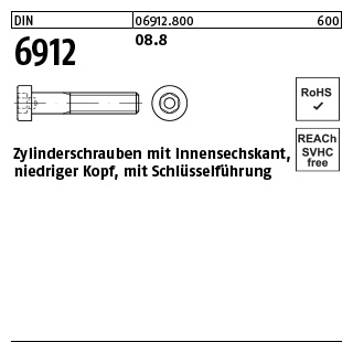 200 Stück, DIN 6912 08.8 Zylinderschrauben mit Innensechskant, niedriger Kopf, mit Schlüsselführung - Abmessung: M 6 x 55