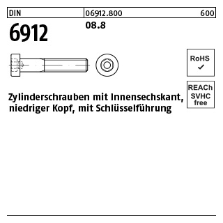 200 Stück, DIN 6912 08.8 Zylinderschrauben mit Innensechskant, niedriger Kopf, mit Schlüsselführung - Abmessung: M 8 x 22