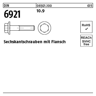 500 Stück, DIN 6921 10.9 Sechskantschrauben mit Flansch - Abmessung: M 6 x 30