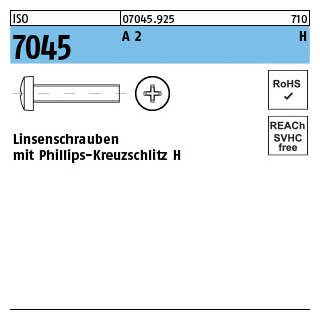 1000 Stück, ISO 7045 A 2 H Linsenschrauben mit Phillips-Kreuzschlitz H - Abmessung: M 1,6 x 5 -H