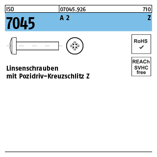 1000 Stück, ISO 7045 A 2 Z Linsenschrauben mit Pozidriv-Kreuzschlitz Z - Abmessung: M 2 x 5 -Z