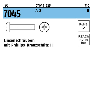 1000 Stück, ISO 7045 A 2 H Linsenschrauben mit Phillips-Kreuzschlitz H - Abmessung: M 3 x 6 -H