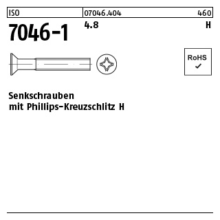 2000 Stück, ISO 7046-1 4.8 H Senkschrauben mit Phillips-Kreuzschlitz H - Abmessung: M 3 x 10 -H