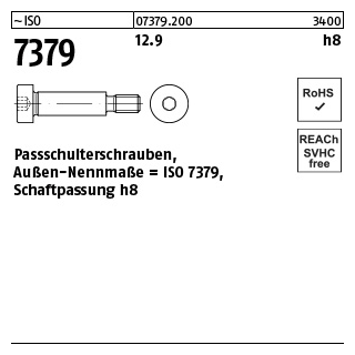 50 Stück, ~ISO 7379 12.9 h8 Pass-Schulterschrauben, Schaftpassung h8 - Abmessung: 6 - M 5 x 12