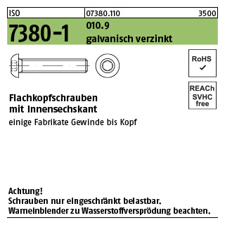 500 Stück, ISO 7380-1 010.9 galvanisch verzinkt Flachkopfschrauben mit Innensechskant - Abmessung: M 3 x 10