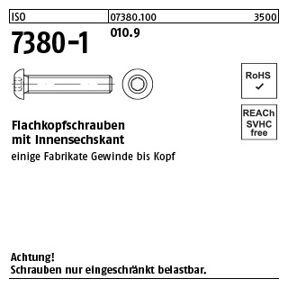 500 Stück, ISO 7380-1 010.9 Flachkopfschrauben mit Innensechskant - Abmessung: M 3 x 25