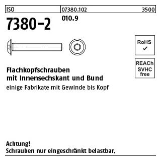 500 Stück, ISO 7380-2 010.9 Flachkopfschrauben mit Innensechskant und Bund - Abmessung: M 4 x 6