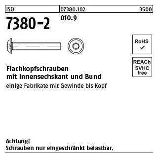 500 Stück, ISO 7380-2 010.9 Flachkopfschrauben mit Innensechskant und Bund - Abmessung: M 6 x 40