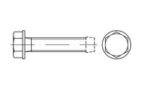 1000 Stück, ~DIN 7500 Stahl ~Form D galvanisch verzinkt Gewindefurchende Schrauben, metr. Gewinde, Sechskant-Flanschkopf - Abmessung: DM 6 x 16
