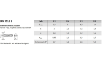 1000 Stück, DIN 7513 Stahl Form B galvanisch verzinkt Zylinder-Schneidschrauben, Kopf mit Schlitz nach DIN 84 - Abmessung: BM 5 x 10