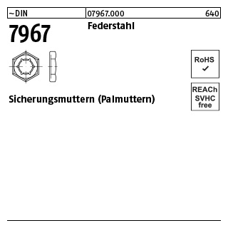 200 Stück, ~DIN 7967 Federstahl Sicherungsmuttern (Palmuttern) - Abmessung: M 22