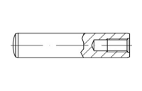 100 Stück, DIN 7979 Stahl Form D/m 6 Zylinderstifte mit Innengewinde, gehärtet, Toleranzfeld m6 - Abmessung: D 5 x 14