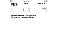 100 Stück, DIN 7979 Stahl Form D/m 6 Zylinderstifte mit Innengewinde, gehärtet, Toleranzfeld m6 - Abmessung: D 6 x 26