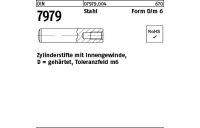 100 Stück, DIN 7979 Stahl Form D/m 6 Zylinderstifte mit Innengewinde, gehärtet, Toleranzfeld m6 - Abmessung: D 6 x 60