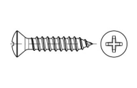 500 Stück, DIN 7983 A 2 Form C-H Linsensenk-Blechschrauben mit Spitze, mit Phillips-Kreuzschlitz H - Abmessung: C 4,8 x 22 -H