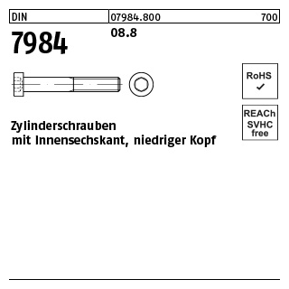 100 Stück, DIN 7984 08.8 Zylinderschrauben mit Innensechskant, niedriger Kopf - Abmessung: M 3 x 6