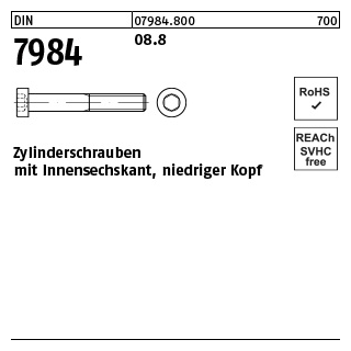 200 Stück, DIN 7984 08.8 Zylinderschrauben mit Innensechskant, niedriger Kopf - Abmessung: M 8 x 60