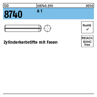 100 Stück, ISO 8740 A 1 Zylinderkerbstifte mit Fasen - Abmessung: 5 x 16