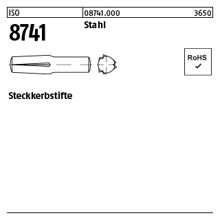 250 Stück, ISO 8741 Stahl Steckkerbstifte - Abmessung: 2 x 6