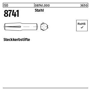 250 Stück, ISO 8741 Stahl Steckkerbstifte - Abmessung: 2 x 20