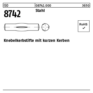 250 Stück, ISO 8742 Stahl Knebelkerbstifte mit kurzen Kerben - Abmessung: 2 x 10