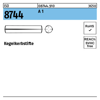 100 Stück, ISO 8744 A 1 Kegelkerbstifte - Abmessung: 2 x 10