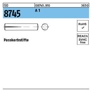 100 Stück, ISO 8745 A 1 Passkerbstifte - Abmessung: 2 x 14