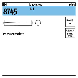 100 Stück, ISO 8745 A 1 Passkerbstifte - Abmessung: 4 x 10