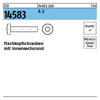 1000 Stück, ISO 14583 A 2 Flachkopfschrauben mit Innensechsrund - Abmessung: M 1,6 x 3