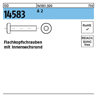 1000 Stück, ISO 14583 A 2 Flachkopfschrauben mit Innensechsrund - Abmessung: M 2,5 x 3