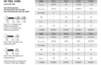 1000 Stück, ISO 14586 A 2 Form C- ISR Senk-Blechschrauben, mit Spitze, mit Innensechsrund - Abmessung: 2,9 x 25 -C