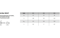100 Stück, Artikel 88107 A 2 Flachrundschrauben mit Schlitz, Bordwandschr., mit Gewinde bis Kopf - Abmessung: M 8 x 60