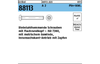 100 Stück, Artikel 88113 A 2 Pin-I6kt. Diebstahlhemmende Schrauben m. Flachkopf ~ ISO 7380, mit ISK und Zapfen - Abmessung: M 3 x 6