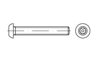 100 Stück, Artikel 88113 A 2 Pin-I6kt. Diebstahlhemmende Schrauben m. Flachkopf ~ ISO 7380, mit ISK und Zapfen - Abmessung: M 3 x 6