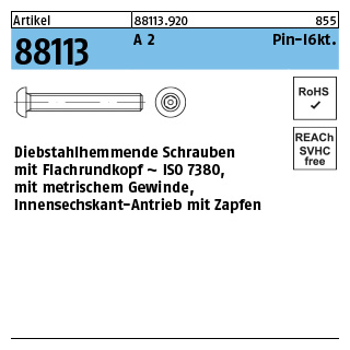 100 Stück, Artikel 88113 A 2 Pin-I6kt. Diebstahlhemmende Schrauben m. Flachkopf ~ ISO 7380, mit ISK und Zapfen - Abmessung: M 3 x 10