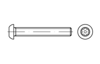 100 Stück, Artikel 88116 A 2 PIN-ISR Diebstahlhemmende Schrauben m. Flachkopf ~ ISO 7380, mit ISR und Zapfen - Abmessung: M10 x 45-T45